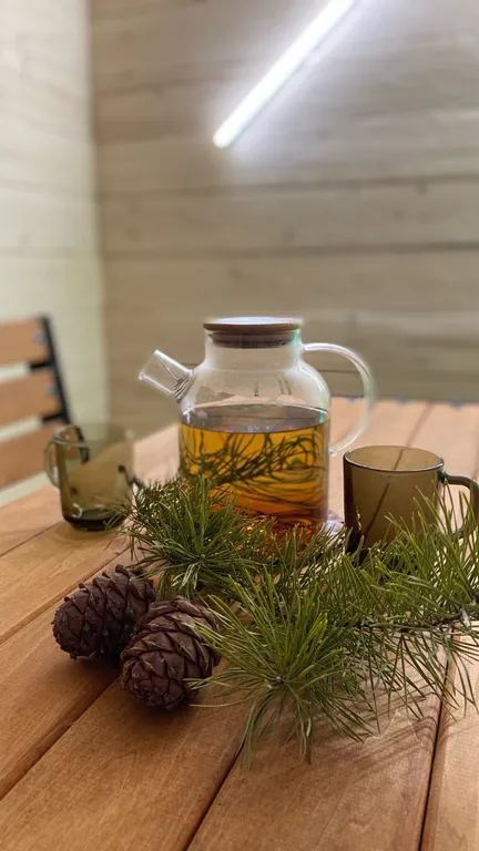 Коттедж для больших компаний на Алтае