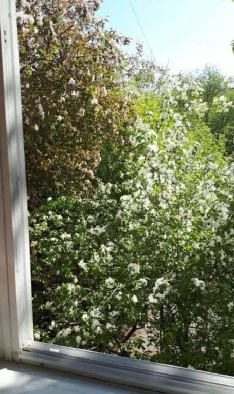 Уютная полуторка в центре