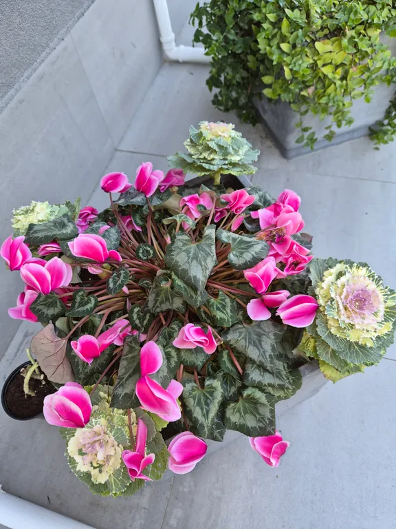 Квартира комфорт-класса в центральном районе Сочи