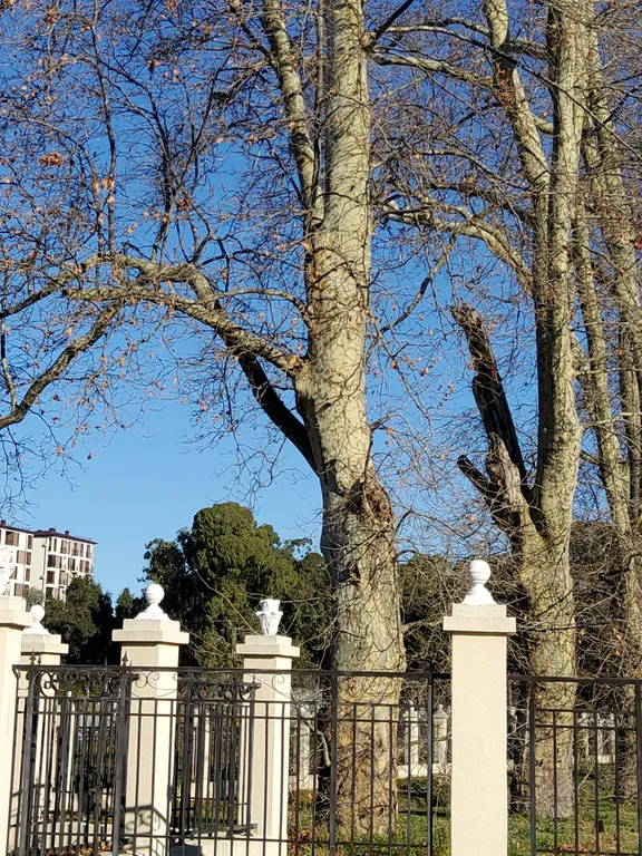 Квартира 1-комнатная Квартира — Сириус