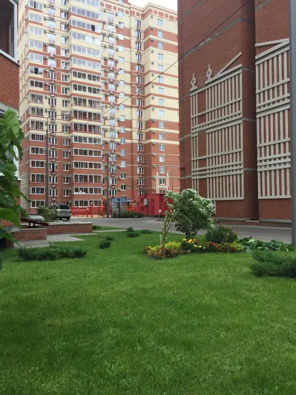 Красавица студия