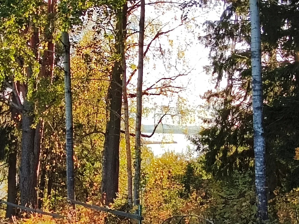 Дом мангал рыбалка лодка