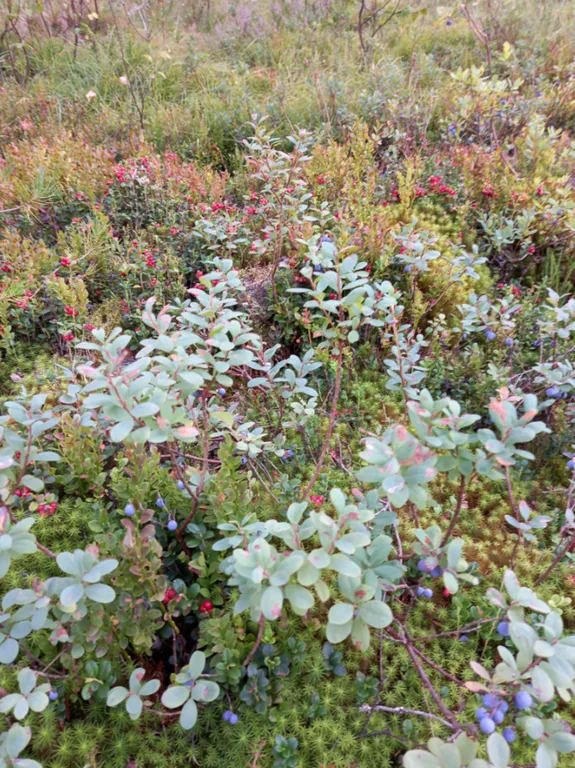 Дом у озера Волоцкое