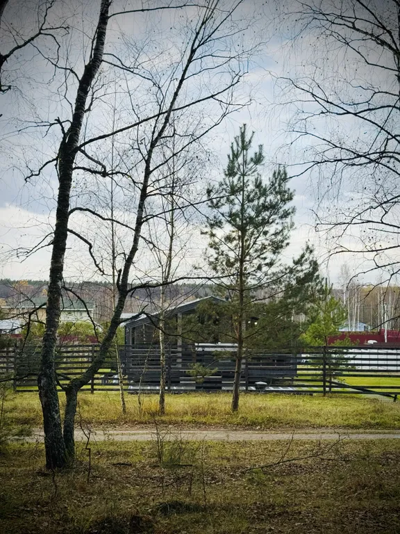 Дом у реки в сосновом лесу