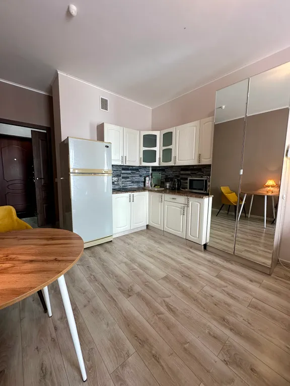 Квартира студия с видом на Неву