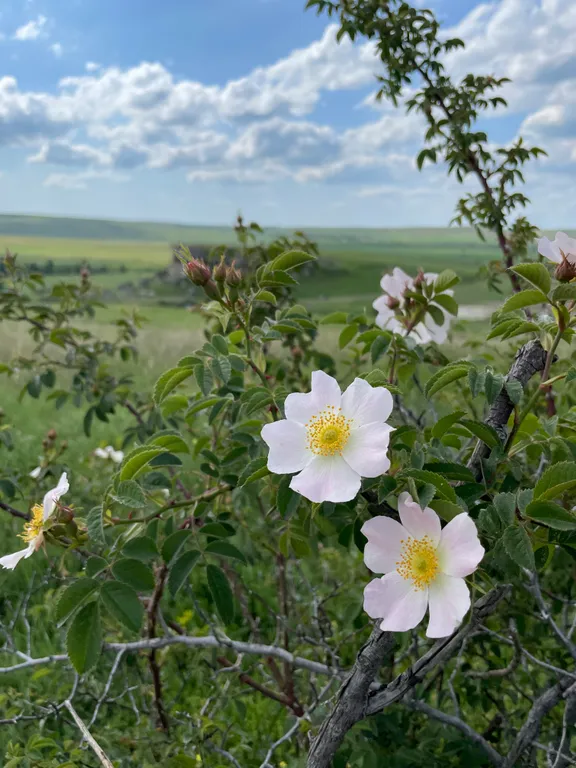 Апартаменты с видом на бассейн