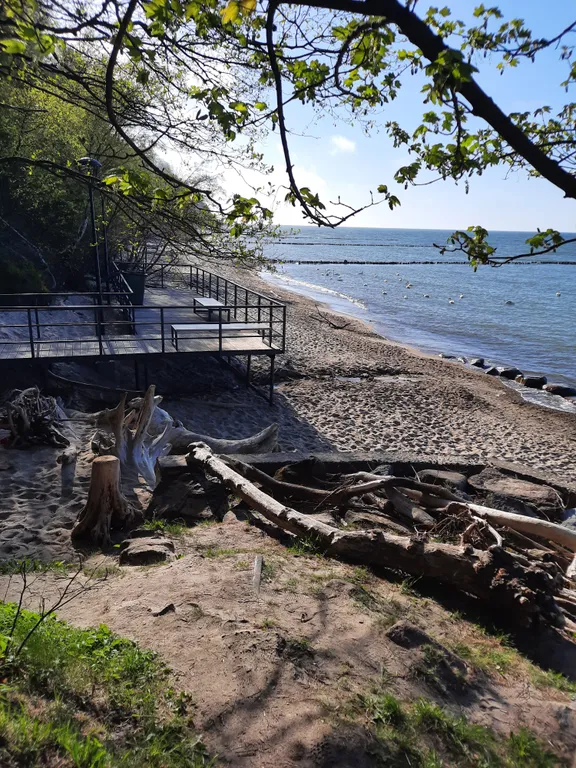 Квартира Уютная просторная квартира в тихом месте — Светлогорск