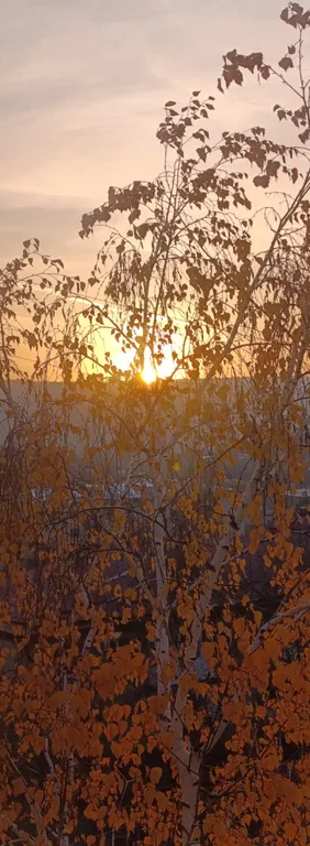 Уютная квартира с видом на горы в центре города