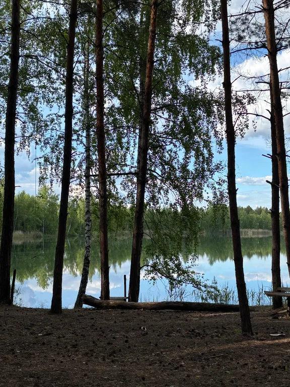 Домик Сканди