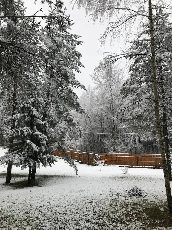 Усадьба в Антроповке