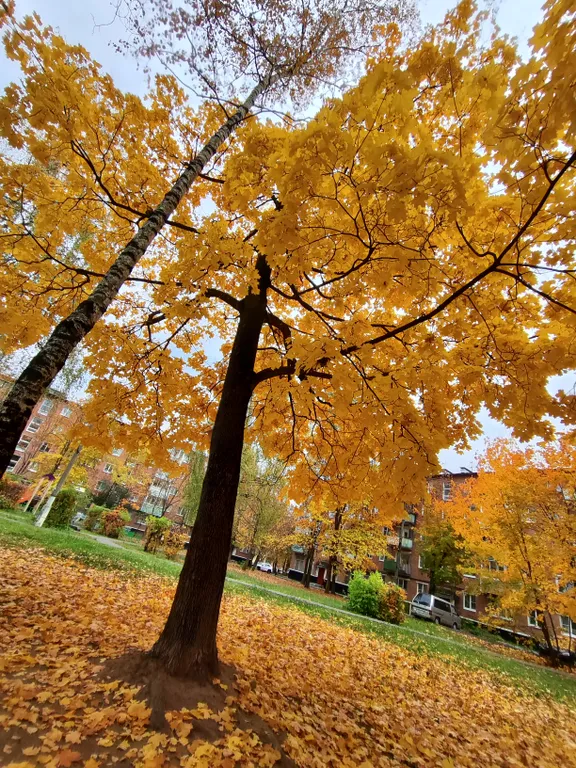 Квартира эконом вариант с балконом