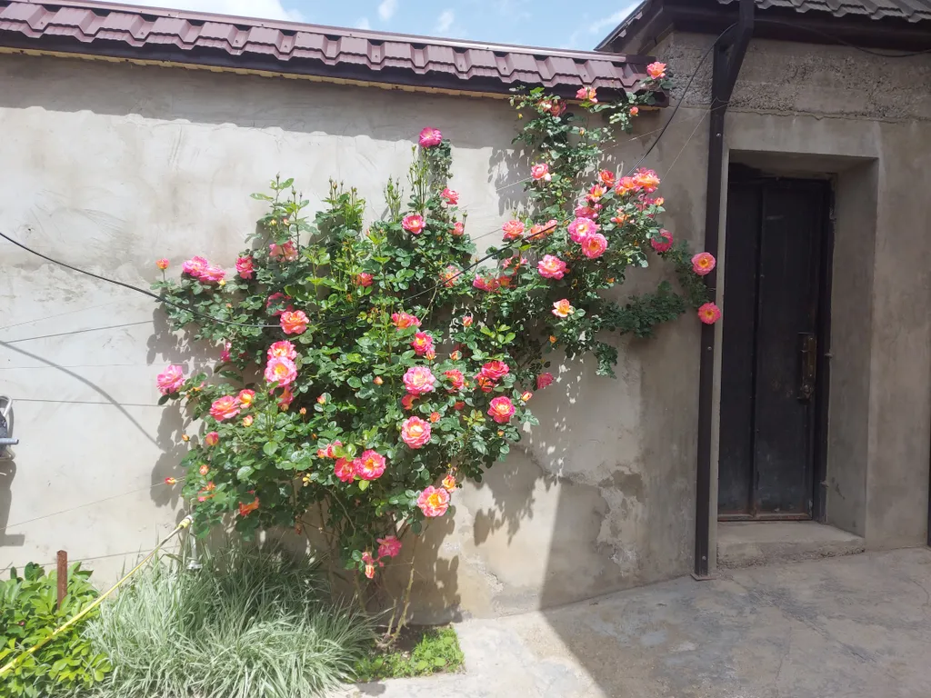 Уютный и красивый дом с видом на горы