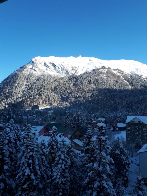 Светлая шале евро-трёшка