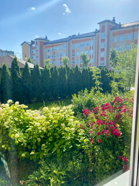 Квартира Уютная и просторная квартира вблизи центра города — Калининград