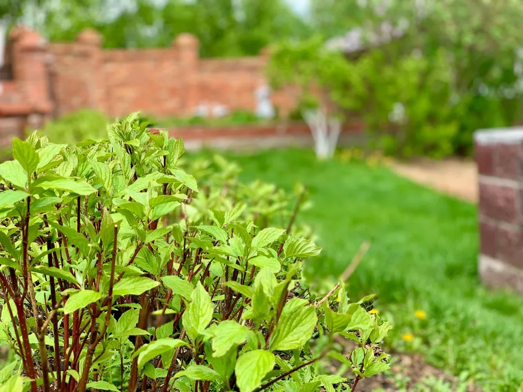 Дом у озера