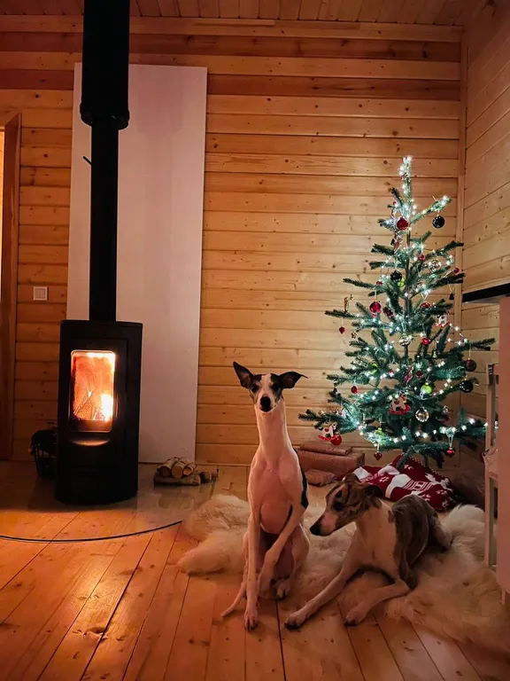 Уютный скандинавский барнхаус рядом с городом