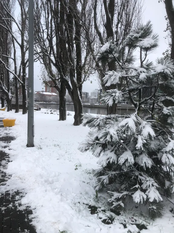 Квартира Квартира в сердце города с видом на реку — Калининград