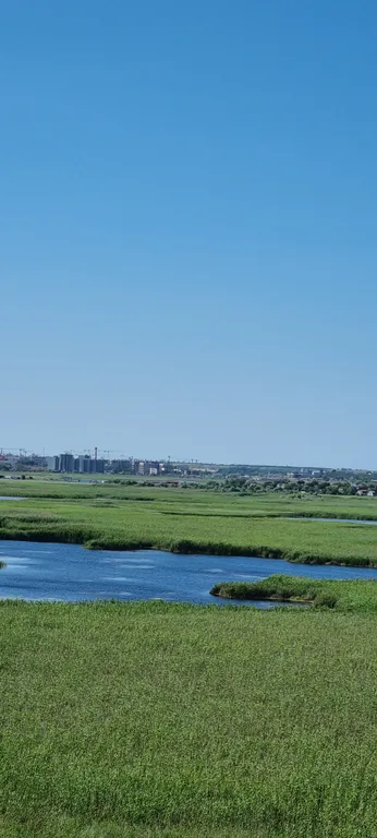 Уютная студия в тихом районе