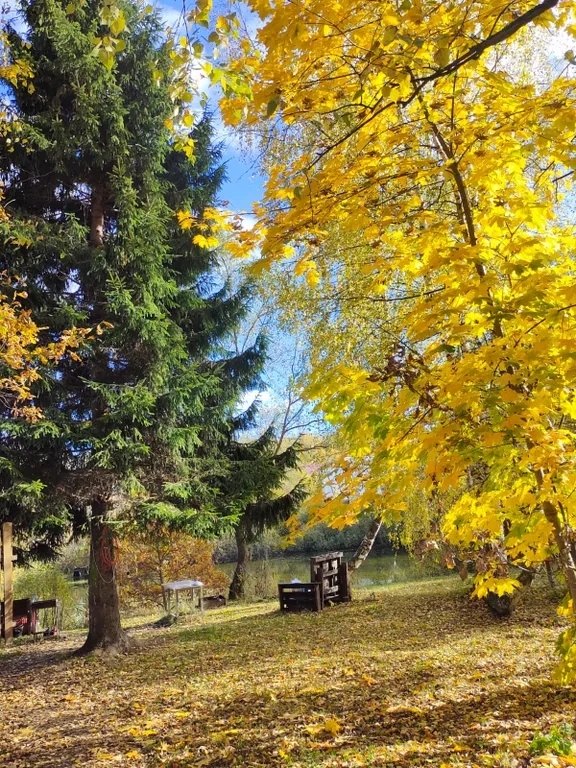 Чудо-дача, дом Акула на берегу пруда
