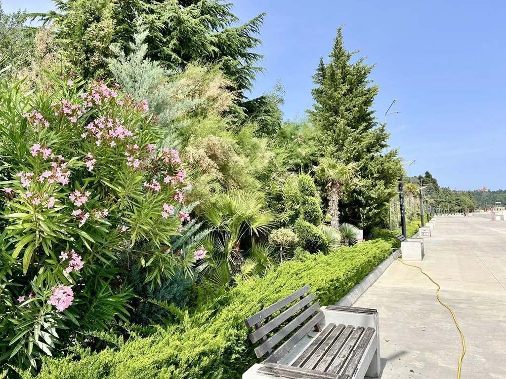 Уютная студия с шикарным видом на море