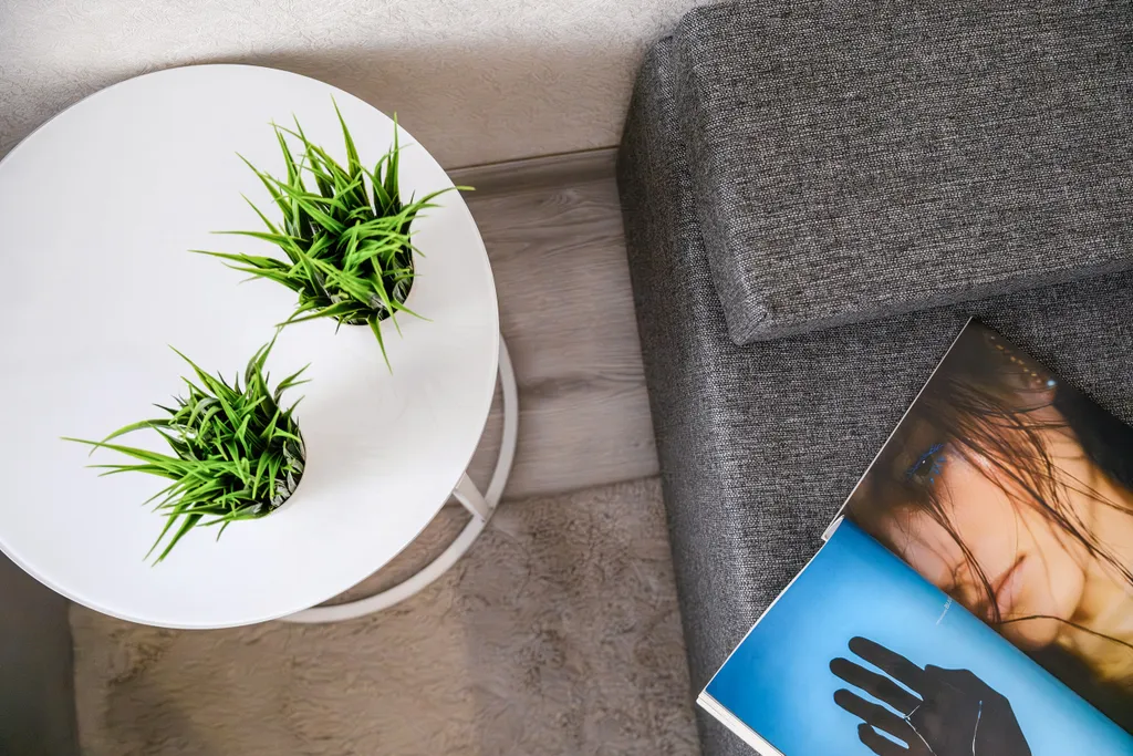 Лучистый берег