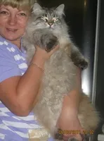 Ирина