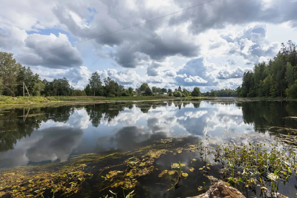 Коттедж 4-комнатный Дом — Санкт-Петербург