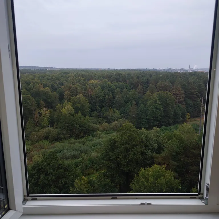 Евродвушка как трёшка