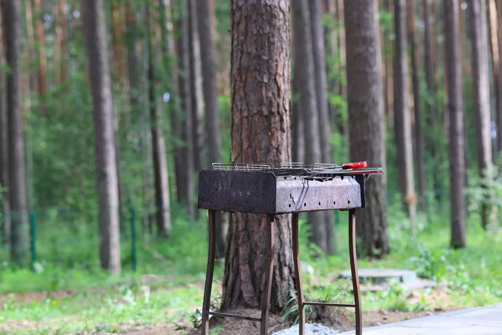 Барнхаус №1 с панорамой