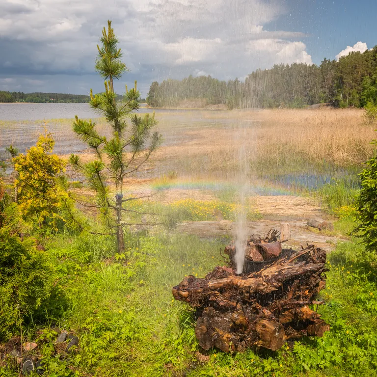 Коттедж Берег у леса