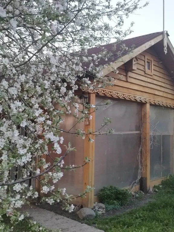 Коттедж Студия-дом в саду — Суздаль