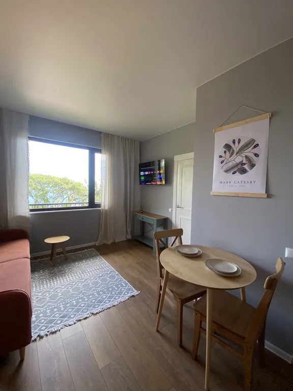 Уютная локация под платаном