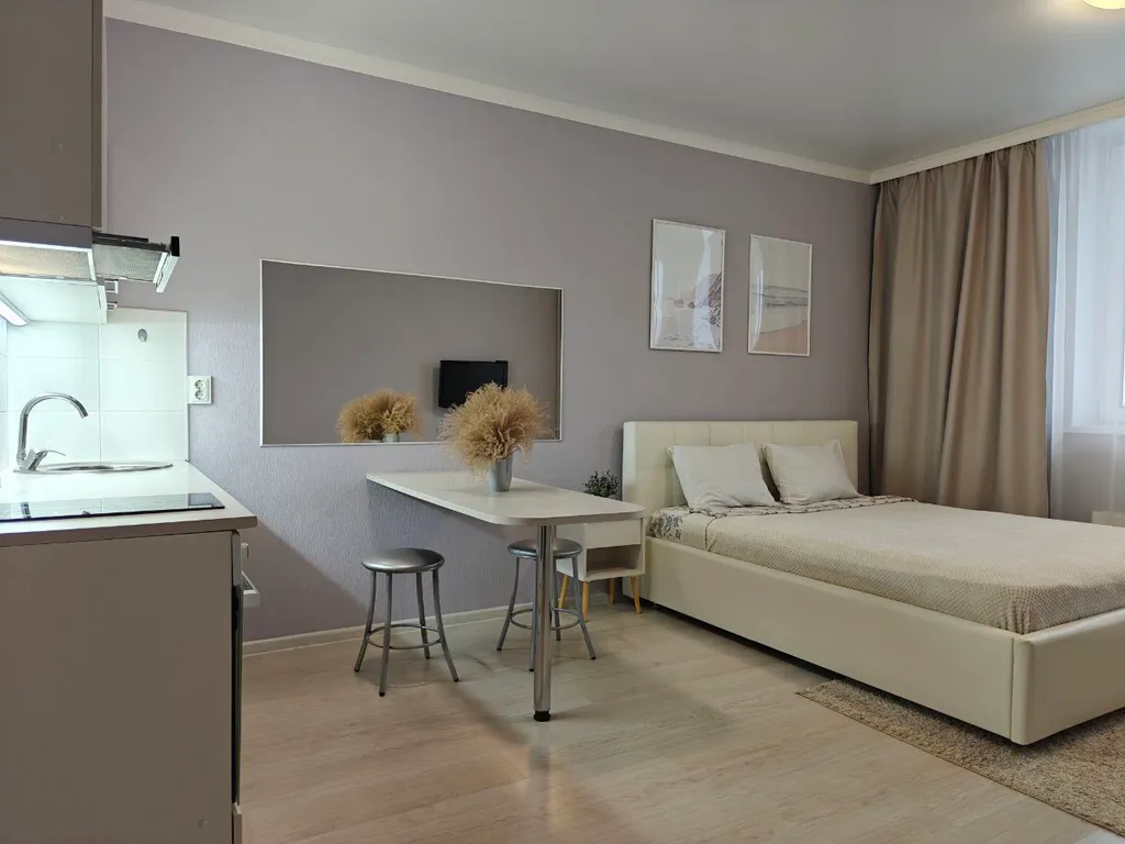 Современная однокомнатная квартира-студия, оформленная в светлых тонах — аренда посуточно в Ульяновск