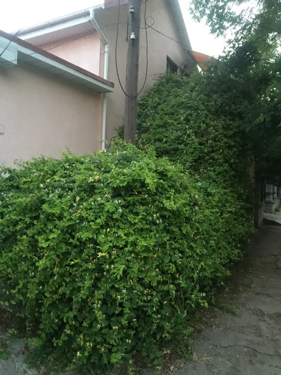 Квартира 1-комнатная Квартира — Севастополь