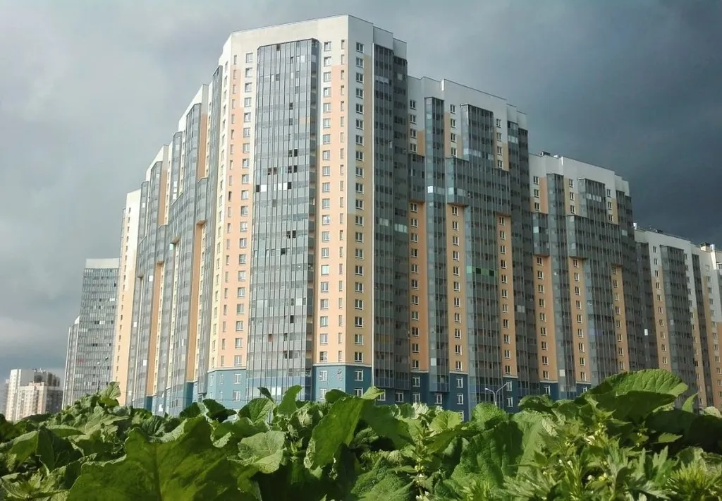 Уютная квартира с прекрасным видом на парк