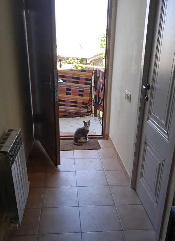 Апартамент с панорамным видом