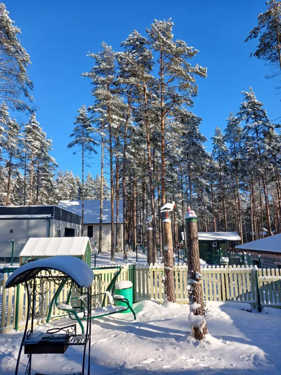 Уютный новый дом в сосновом лесу на берегу Финского залива