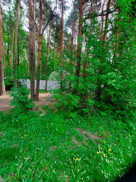 Загородный дом для праздника