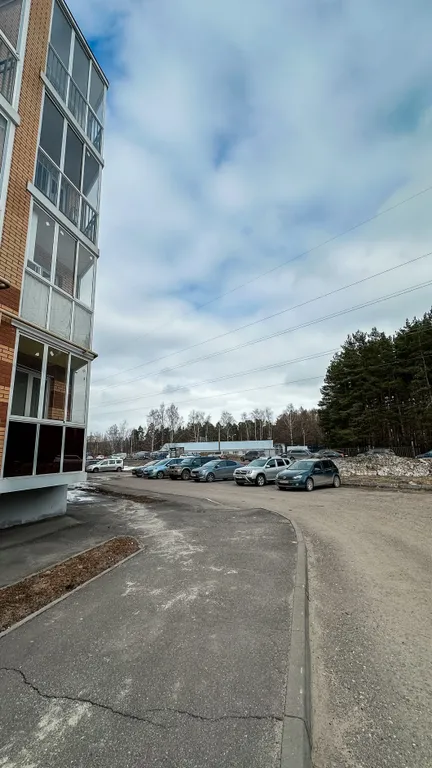 Апартаменты рядом с бором в 15 минутах от центра города