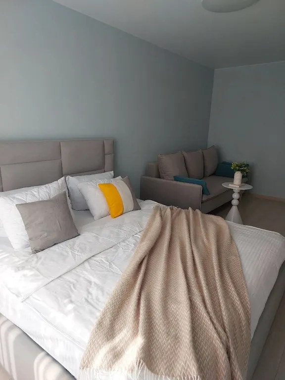 1 комнатные апартаменты в центре города