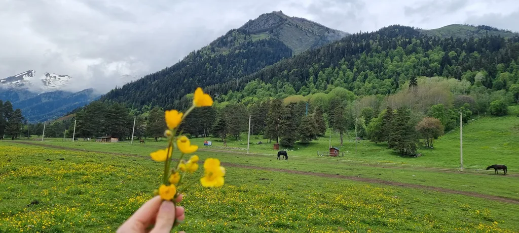 Коттедж Домик на Софийской поляне рядом с лесом и речкой — Архыз