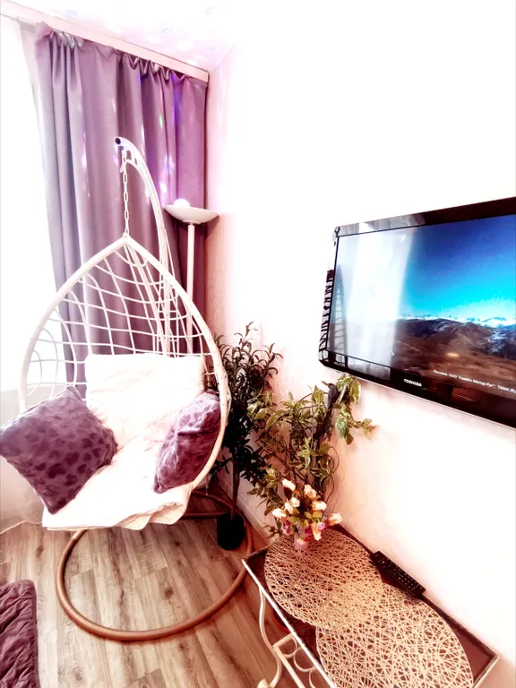 Квартира Квартира Камин, качеля! Напротив кл. Мешалкина. НВВКУ. НГУ. ЦНМТ. Мозайка. Эдэм — Новосибирск