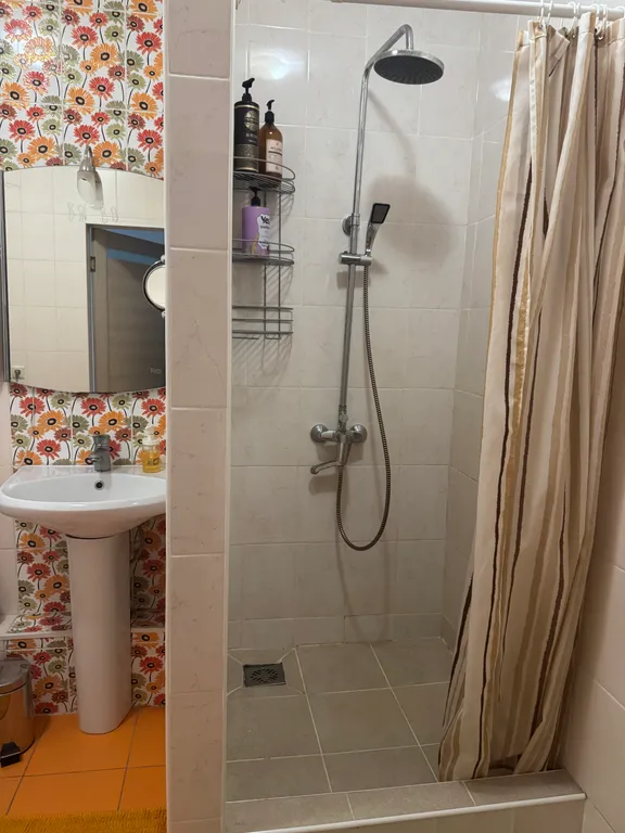 В центре города большая, атмосферная квартира с лужайкой