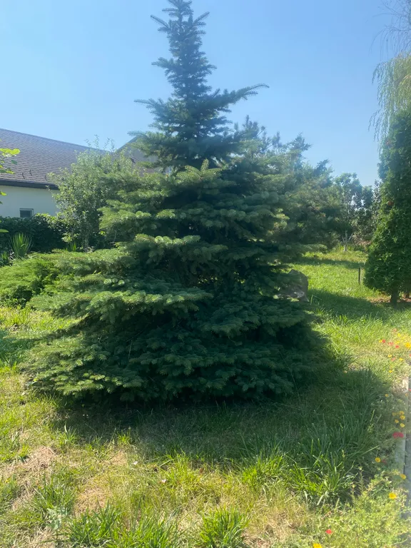 С бассейном рядом с морем