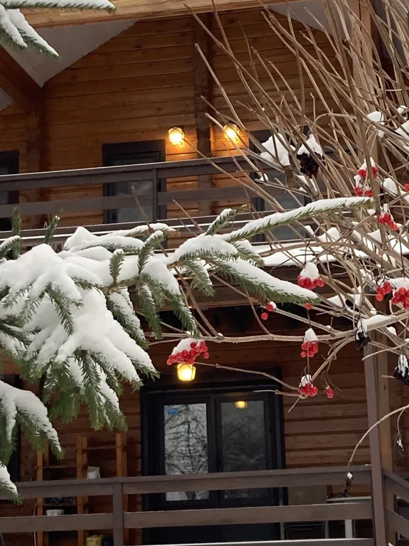 Большой светлый гостевой дом 230кв/м 50 соток участок