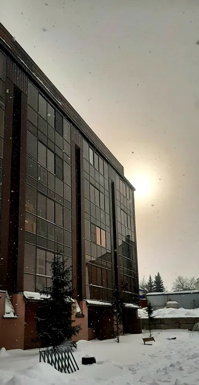 Уютная студия с видом на лес