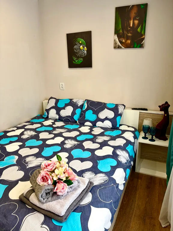 Квартира в центре города, рядом музей Янтаря, верхнее озеро и северный вокзал