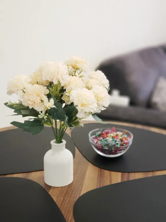 Квартира Квартира Уютная евродвушка у ледовой — Новоселье