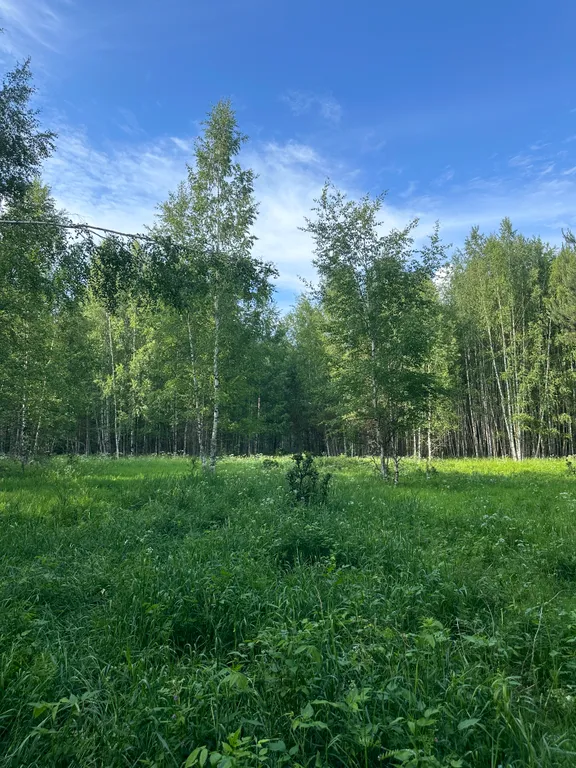 Уютный домик на берегу Волги