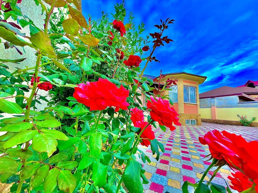 Коттедж Огромный дом для большой семьи Лоза винограда — аренда посуточно в Кисловодск